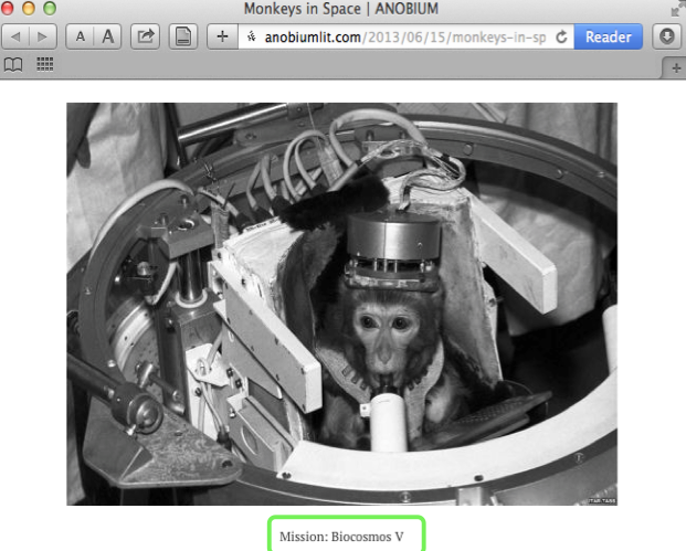 Anche qui però è usata l'immagine di una scimmia dei primi lanci spaziali sperimentali. Si ringrazia Pro-Test Italia.