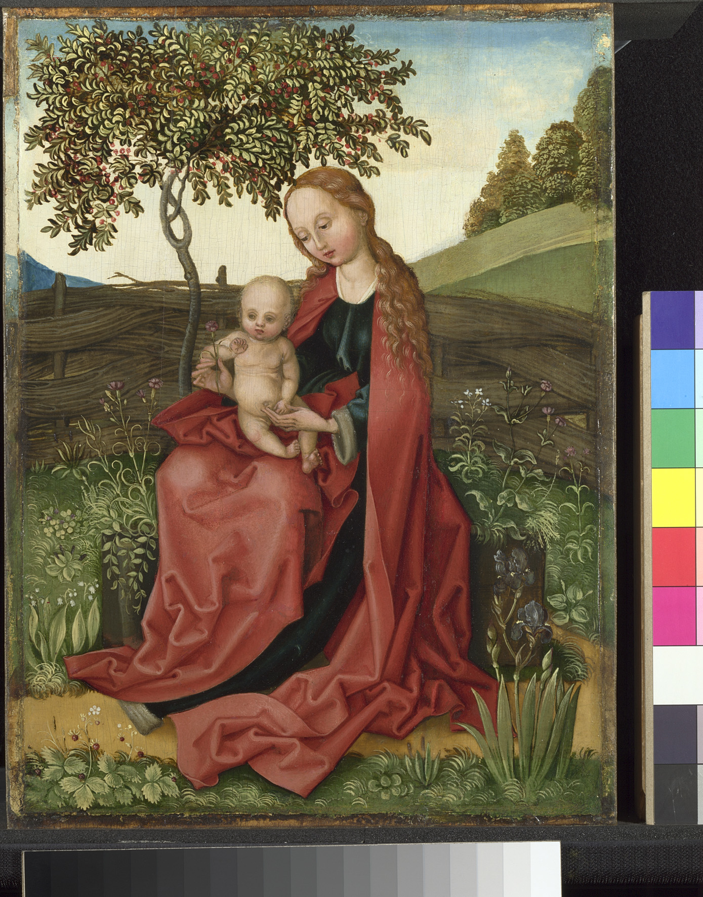 Martin Schongauer (active 1469; died 1491)
The Virgin and Child in a Garden, 1469 91
Oil on lime
The National Gallery, London
© The National Gallery, London

