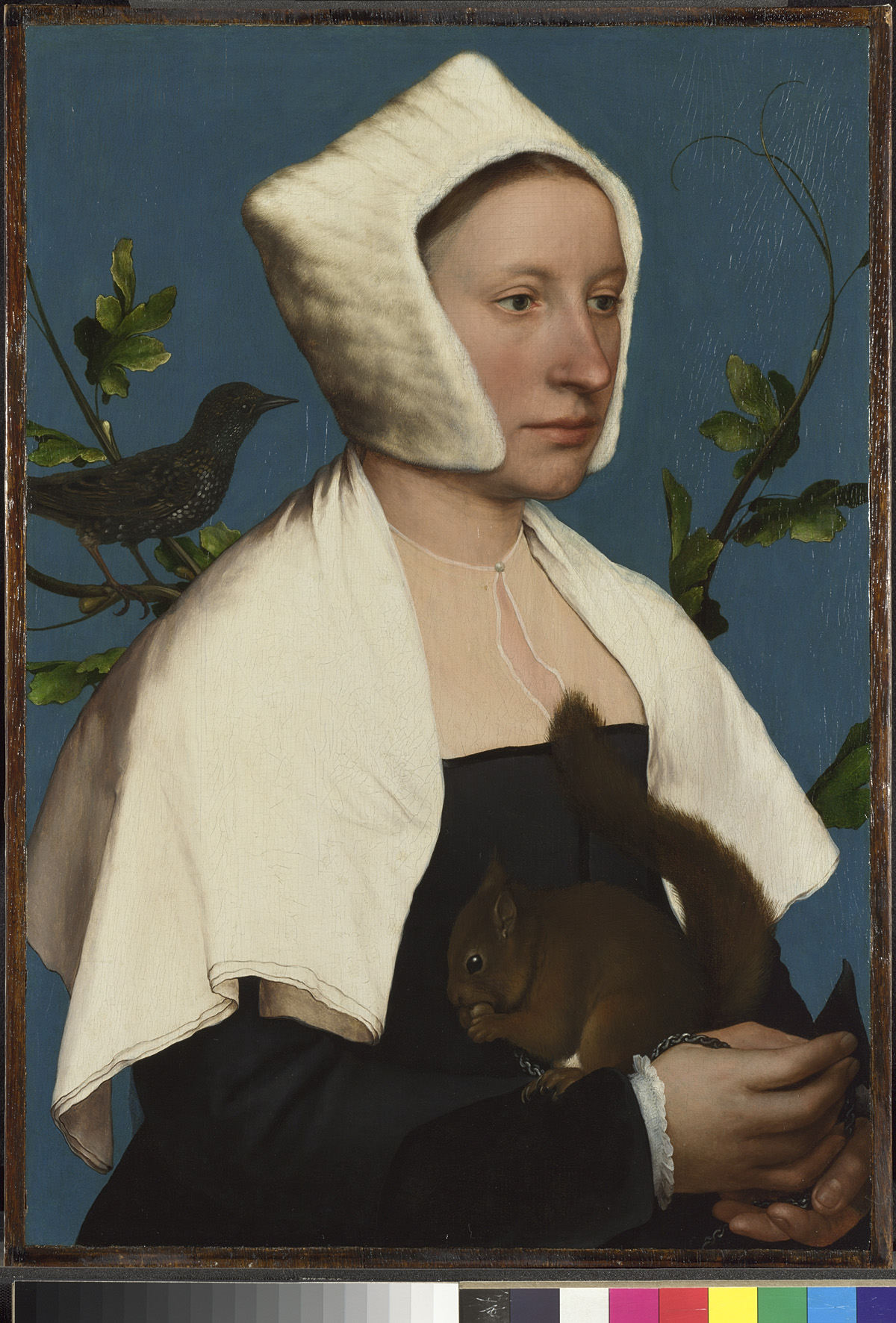 Hans Holbein the Younger (1497/8   1543)
A Lady with a Squirrel and a Starling (Anne Lovell?), about 1526 8
Oil on oak
The National Gallery, London
© The National Gallery, London
