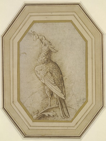Andrea Mantegna (c. 1431-1506), Bird on a Branch, c. 1470s-80s
Ink on paper, 60.3 x 45.1 cm (framed), © The Trustees of the British Museum