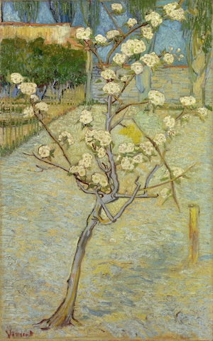 Small Pear Tree in Blossom, 1888
Vincent van Gogh (1853-1890)
Oil on Canvas, 73 x 46 cm, Van Gogh Museum, Amsterdam (Vincent van Gogh Foundation).