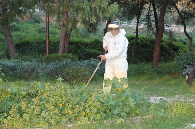 Il parco era sporco e abbandonato. Marcello ha preso rastrello e l’ha ripulito. «E che ha fatto il Comune? Mi ha mandato una diffida»