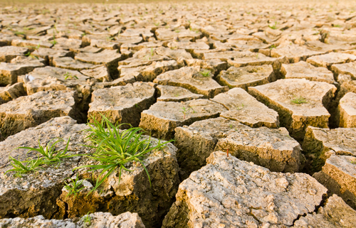 siccita-cambiamenti-climatici-shutterstock_77506255