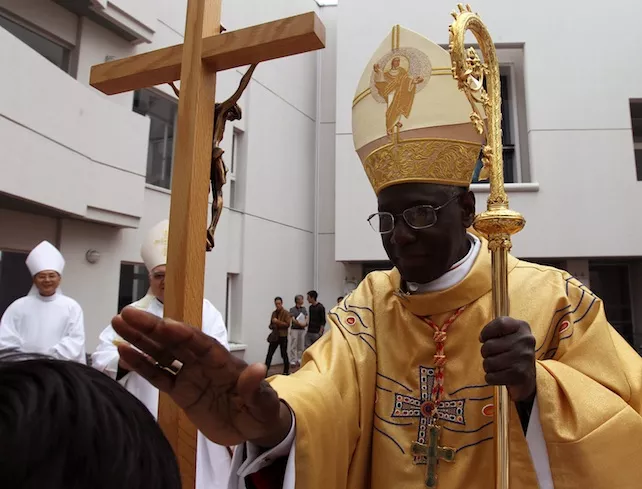 Cardinal-Robert-Sarah-ansa