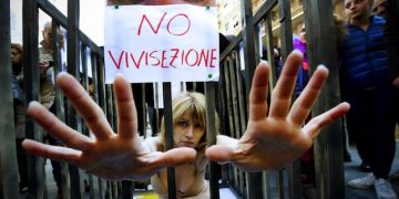 L'attrice Loredana Cannata seminuda in gabbia a Napoli per un'iniziativa della lista Ingroia contro la vivisezione, 16 febbraio 2013.
ANSA / CIRO FUSCO