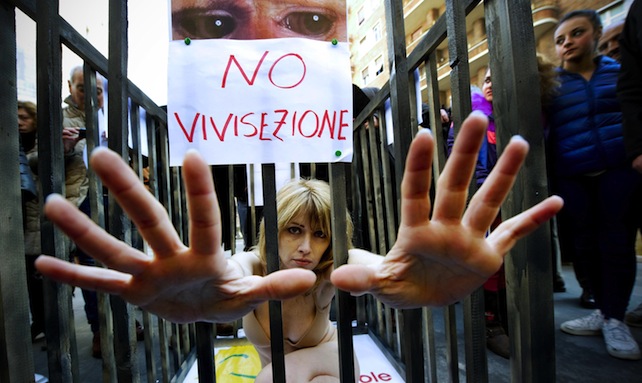 «Stop Vivisection è una richiesta inaccettabile». L’Europa ne combina una giusta