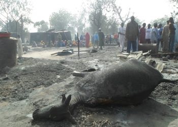 People gather around a dead animal and burnt out houses following an attack by Boko Haram in Dalori village 5 kilometers (3 miles) from Maiduguri, Nigeria , Sunday Jan. 31, 2016. A survivor hidden in a tree says he watched Boko Haram extremists firebomb huts and listened to the screams of children among people burned to death in the latest attack by Nigeriaís homegrown Islamic extremists. (AP Photo/Jossy Ola)