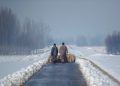 Kashmiri shepherds walk with their heard of sheep on a snow covered road near Hussainpora 55 kilometers (34 miles) south of Srinagar, Indian controlled Kashmir, Monday, Jan. 16, 2017. The only all weather road link that connects the Kashmir valley to the rest of India was closed Monday due to heavy snowfall. (AP Photo/Dar Yasin)