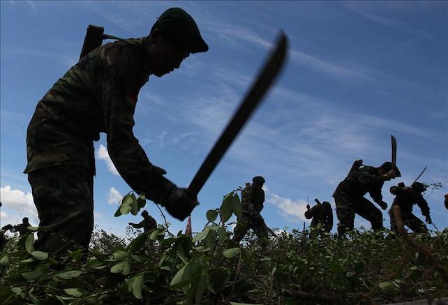 coca-colombia-ansa