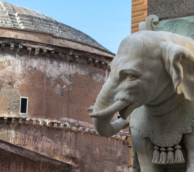 elefante bernini pantheon