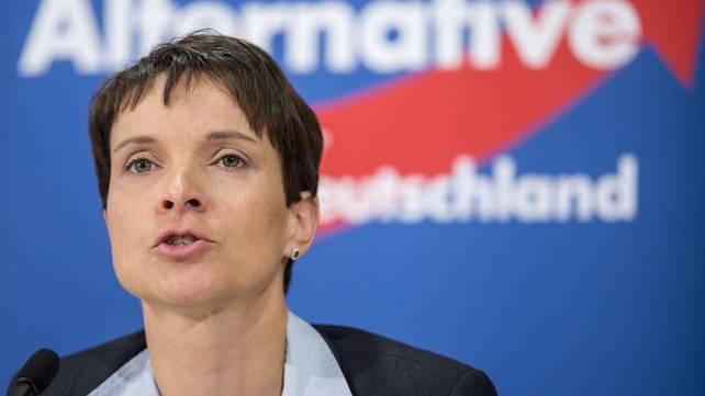 «Afd non è un partito neonazista»