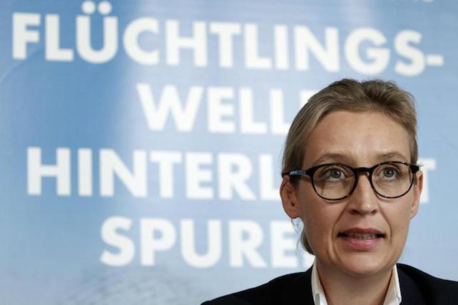 WEIDEL ansa