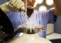 Una biologa estrae da un apposito contenitore di azoto liquido embrioni congelati in un centro fecondazione di Napoli, in una immagine di archivio. ANSA / CIRO FUSCO