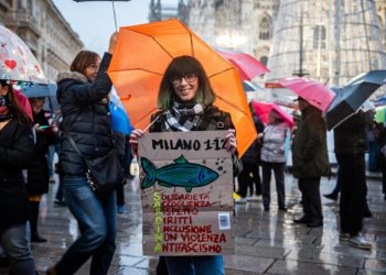 Manifestazione delle sardine a Milano
