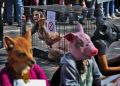 Protesta degli animalisti contro la sperimentazione animale