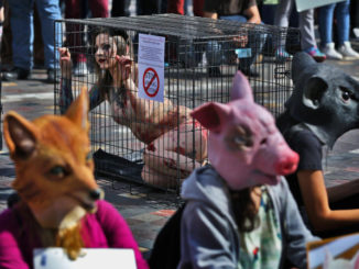 Protesta degli animalisti contro la sperimentazione animale