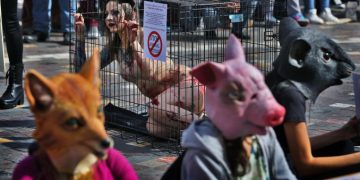 Protesta degli animalisti contro la sperimentazione animale