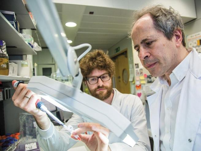 «Tamponi mirati e quarantena: solo così fermeremo il coronavirus»