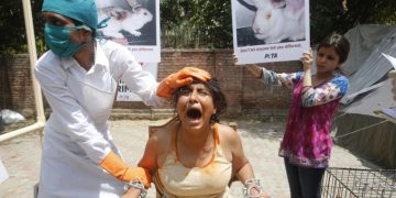 Animalisti in protesta contro la sperimentazione animale