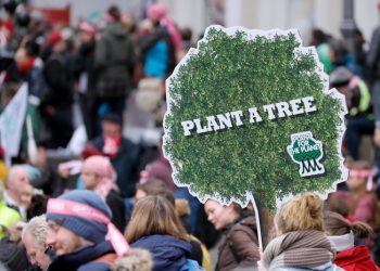 alberi cambiamento climatico