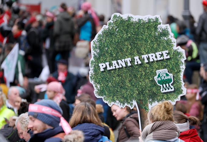 alberi cambiamento climatico