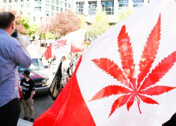 Marijuana, la marcia globale a Vancouver, in Canada, nel 2013