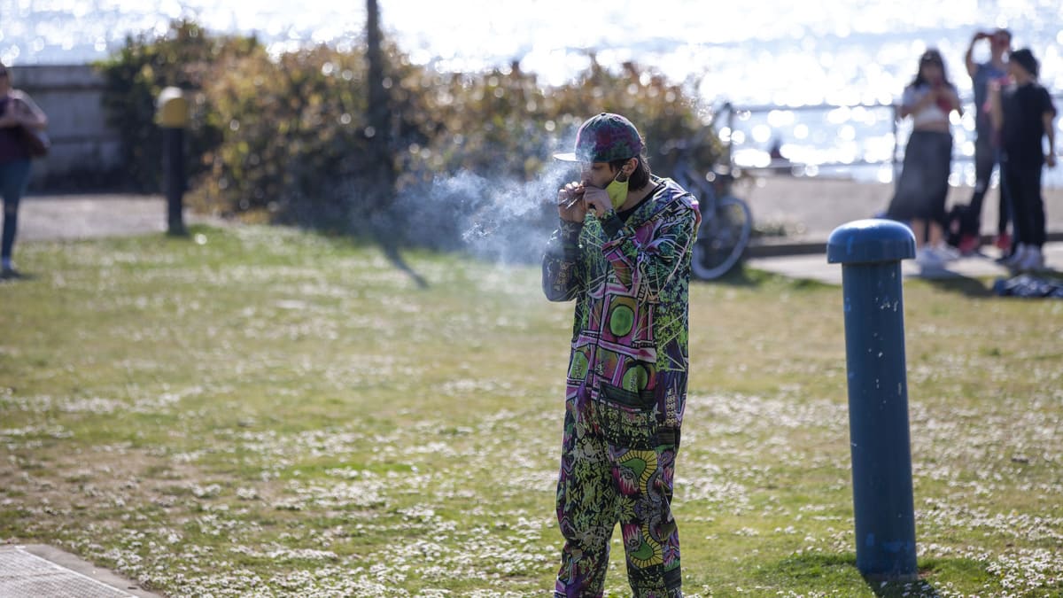 Marijuana day 2020