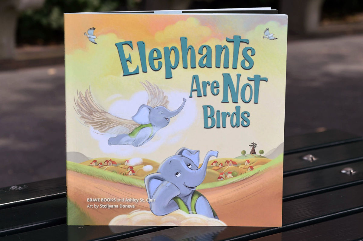 Copertina del libro Elephants are Not Birds, libro per bambini della casa editrice Brave Books