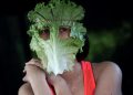 Un'attivista vegana indossa una mascherina di lattuga per sensibilizzare sull'origine animale di virus come il Covid (foto Ansa)