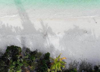 Una spiaggia della Nuova Caledonia fotografata da un drone (foto di Joshua Lanzarini su Unsplash)