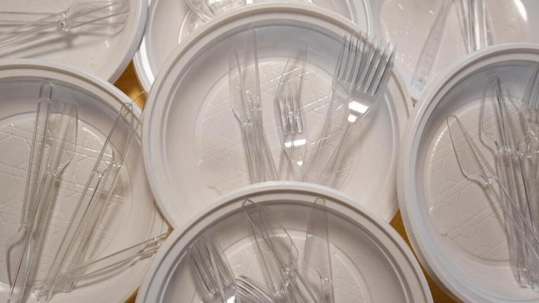 L’Italia va alla guerra della plastica contro l’Unione Europea