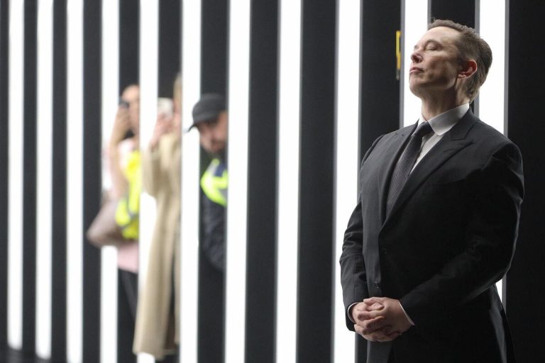 Chi ha paura di Elon Musk