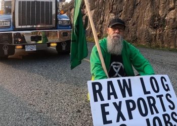 Howard Breen mentre protesta contro la deforestazione in Canada: ha chiesto l'eutanasia per paura dei cambiamenti climatici