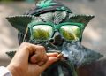 Cannabis rapporto droga onu