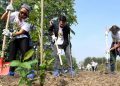 Giovani in Italia piantano nuovi alberi