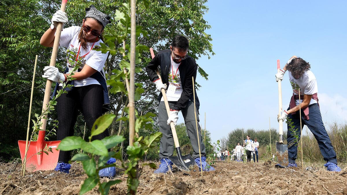 Giovani in Italia piantano nuovi alberi