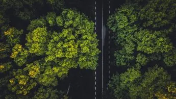 La grande pianificazione green