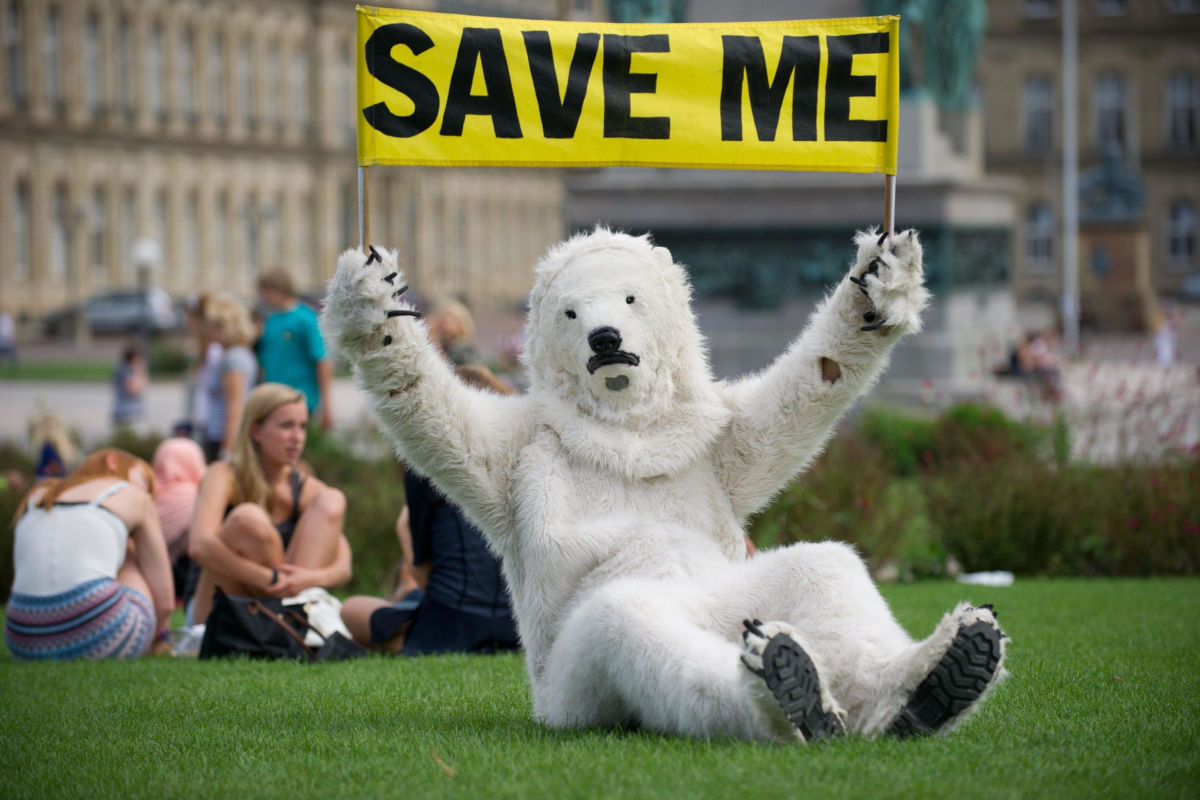 Militante ambientalista travestito da orso polare