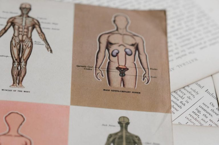 Così la cancel culture minaccia anche la ricerca scientifica