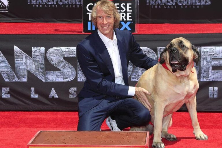 Il delitto del piccione di Michael Bay e il reato di lesa maestà ambientalista