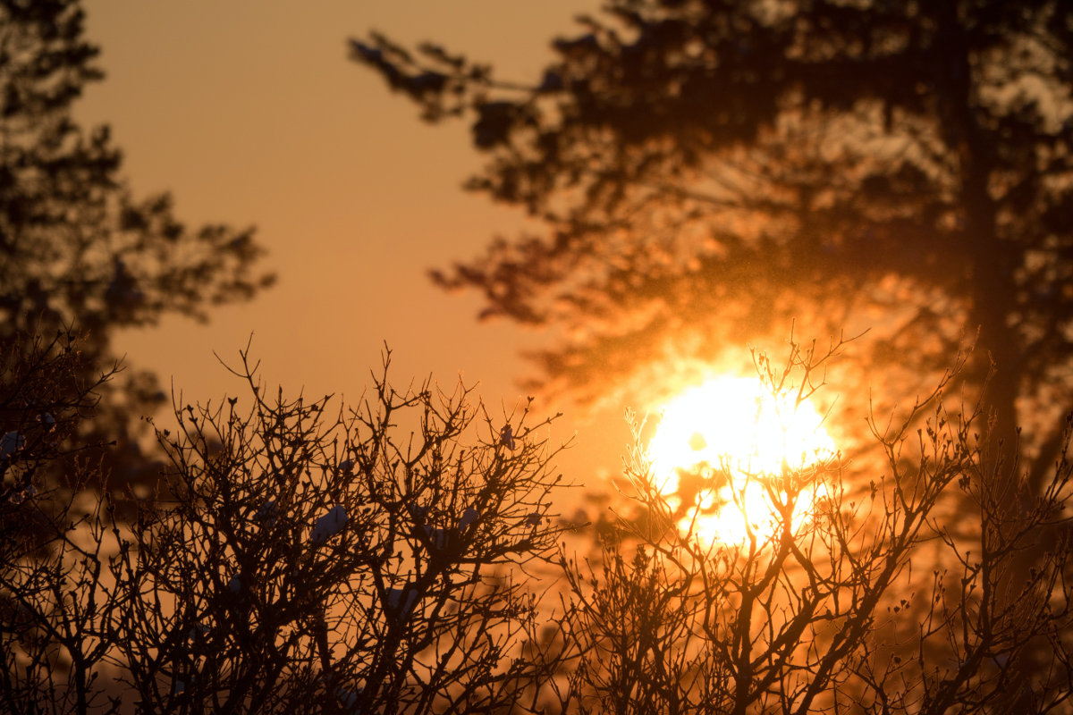 Il Sole nel giorno del solstizio d’inverno