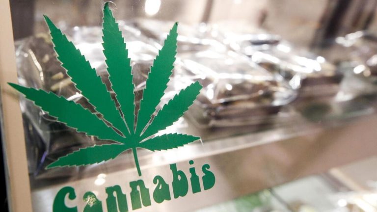«No alla cannabis legale. La via indicata dall’Onu è giusta»