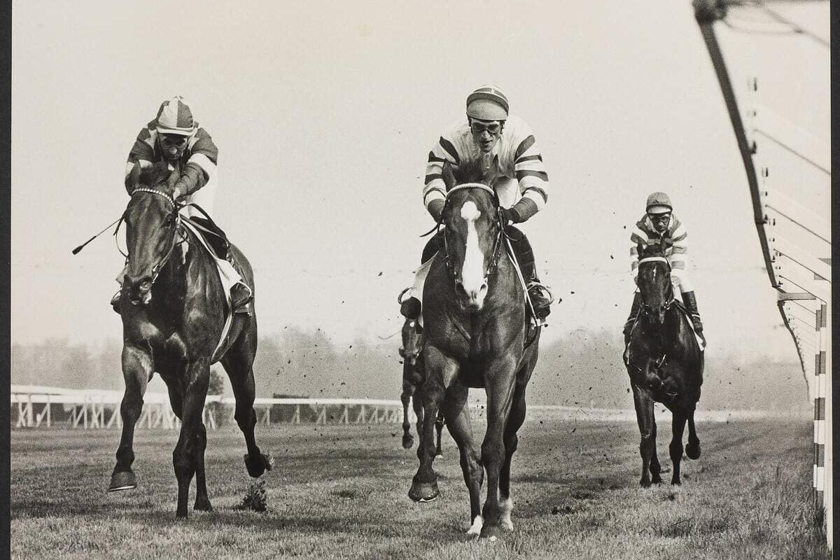 Corse al galoppo anni Settanta, Ippodromo San Siro di Milano