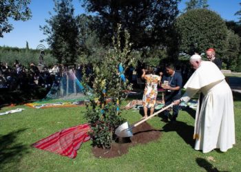 Papa Francesco pianta un albero dei giardini vaticani
