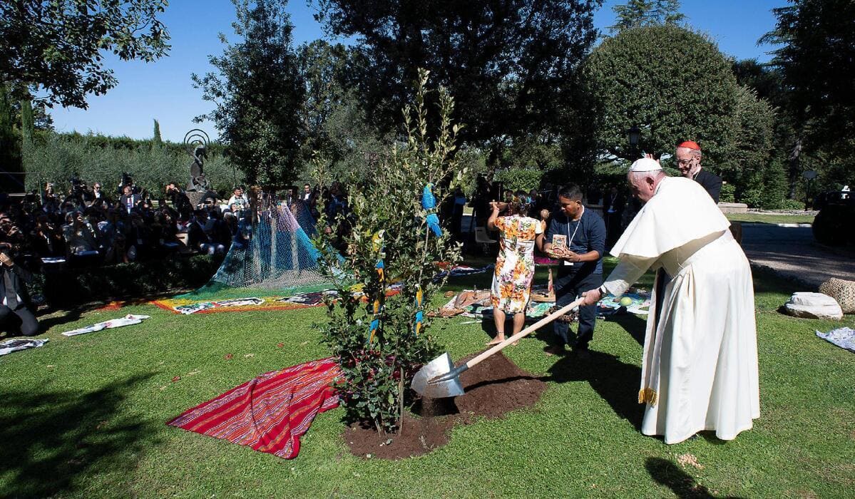 Papa Francesco pianta un albero dei giardini vaticani