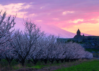 Armenia