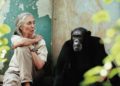 Jane Goodall