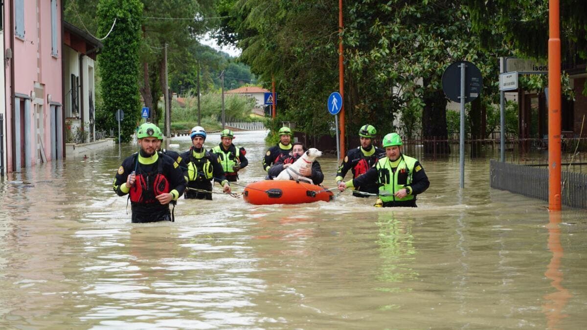 Soccorsi a Cesena dopo l'esondazione del Savio in seguito all'alluvione in Emilia-Romagna