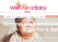 Wish for a baby surrogata