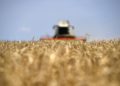L'agricoltura sarebbe danneggiata dalla proposta di legge Ue sul ripristino della natura